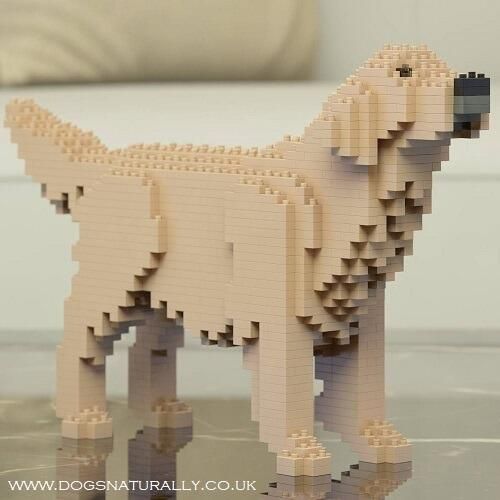 Golden Retriever - Wag Design - Brick Building Kit