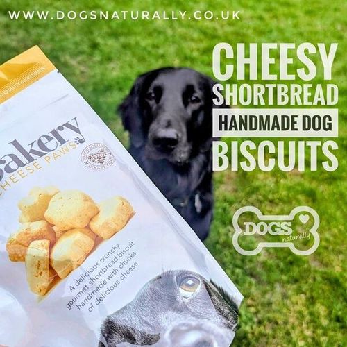 Handmade Cheesy Dog Biscuit Treats