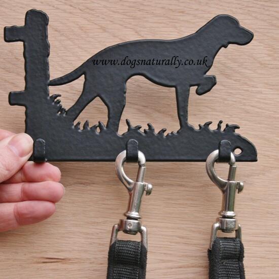 Dog Breed Lead Hanger - Vizsla