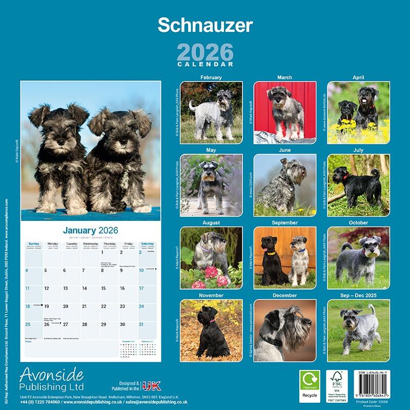 Schnauzer Well Calendar 2026