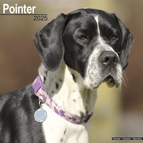 English Pointer Calendar 2025