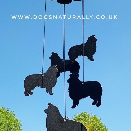 Border Collie Luxury Gift - Windchime