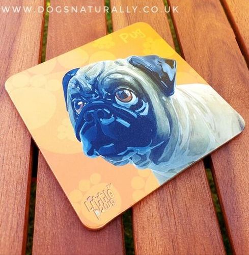 Fun Fawn Pug Coaster