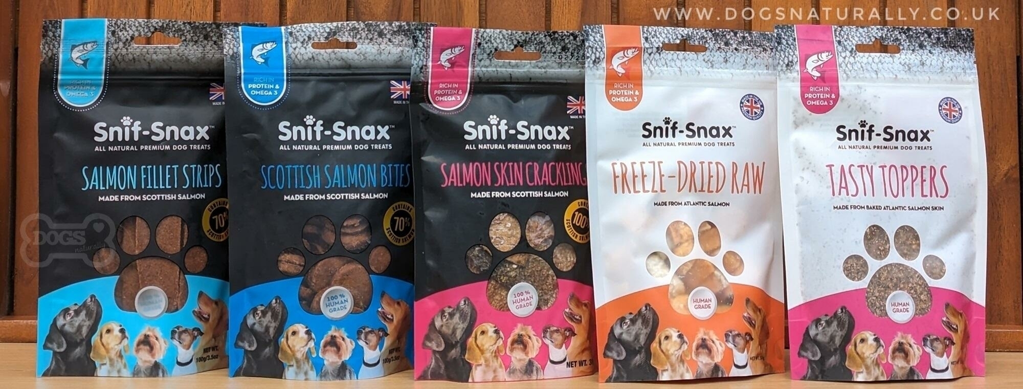 Salmon Dog Treats