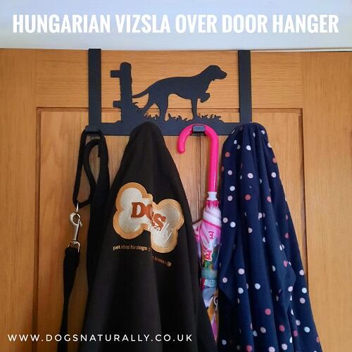 Dog Lover Gift - Over Door Hanger - Vizsla