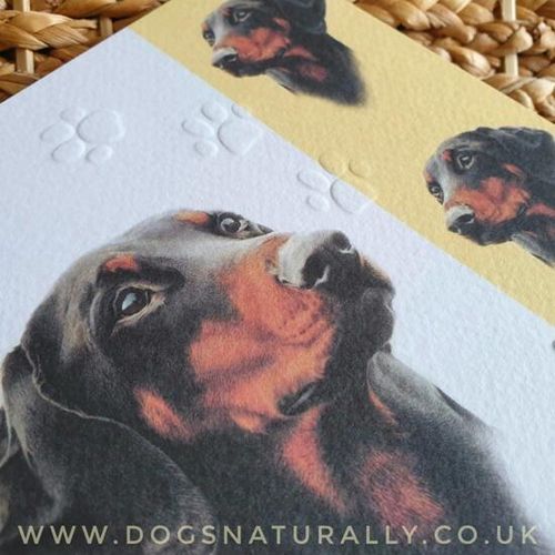 Dobermann Dog Lover Card