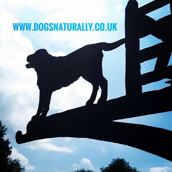 Dog Lover Wall Bracket - Labrador