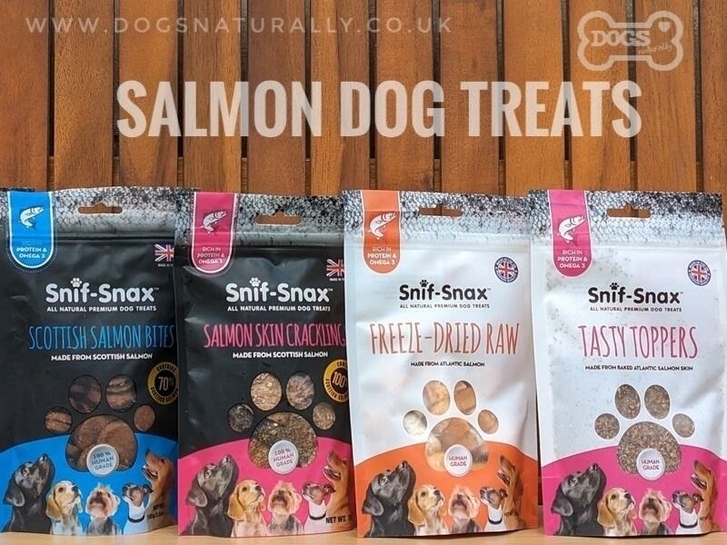 Salmon Dog Treats