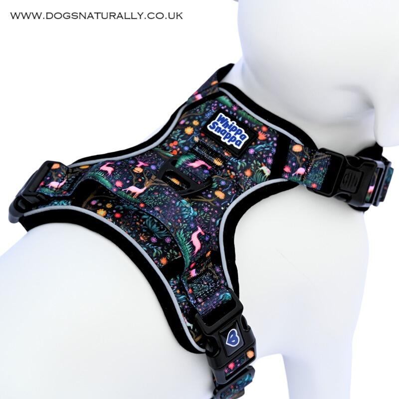 ENCHANTED FOREST - INSECT REPELLING DOG HARNESS FROM WHIPPA SNAPPA