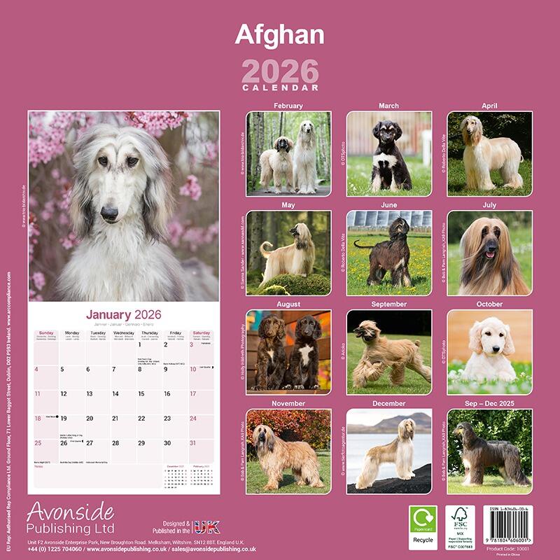 Afghan Hound Calendar