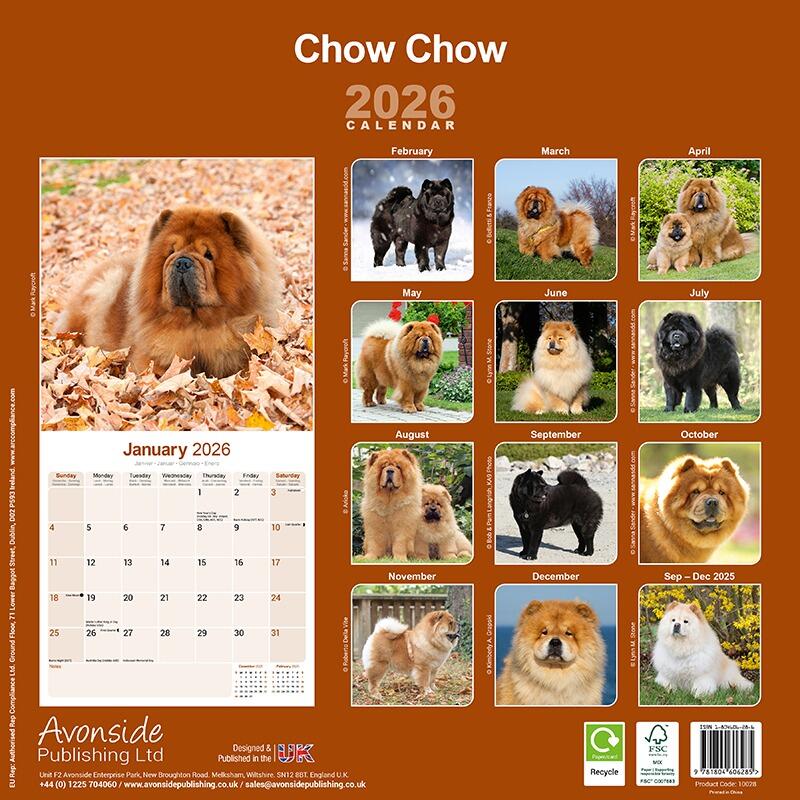 Chow Chow Calendar 2026 Back