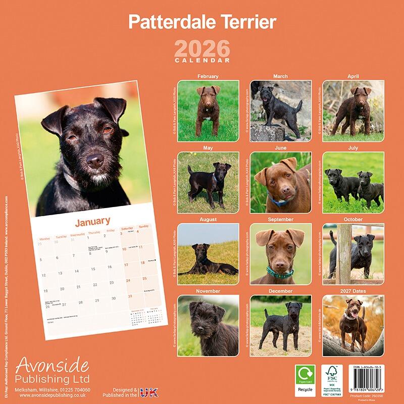 Patterdale Terrier Calendar 2026