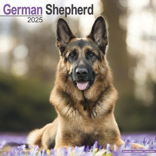 German Shepherd Calendar 2025