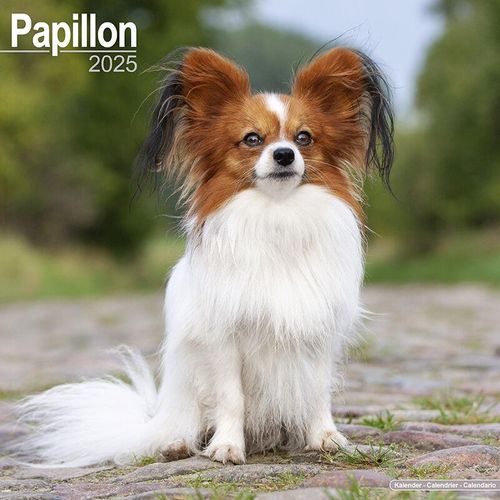 Papillon Calendar 2025