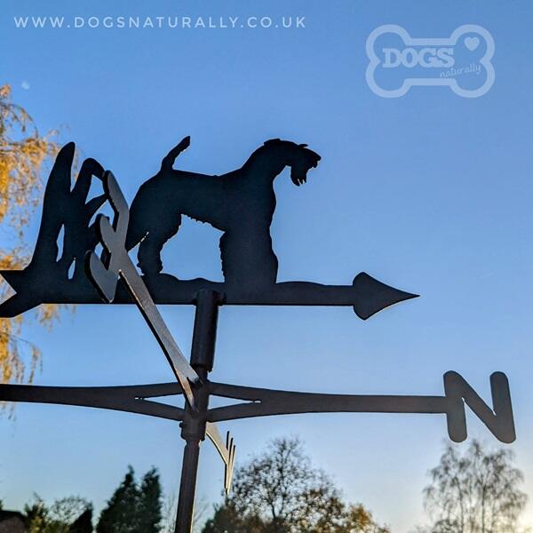 Airedale Weathervane