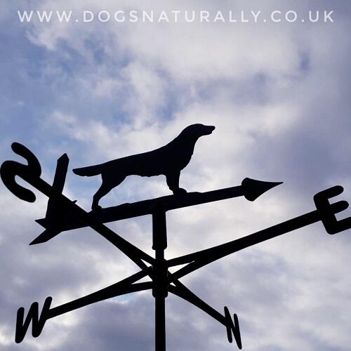 Dog Lover Weathervane - Flat Coated Retriever