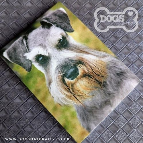 Schnauzer Standard Magnetic Note Pad.