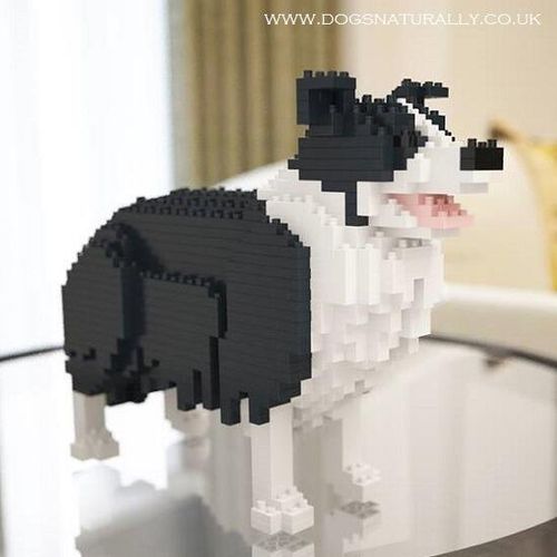 Border Collie Dog Lego Black & White (Jekca)