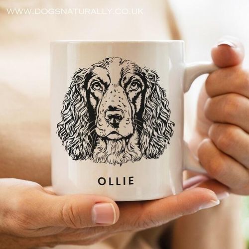 Elegant Personalised Springer Spaniel Mug - Ollie