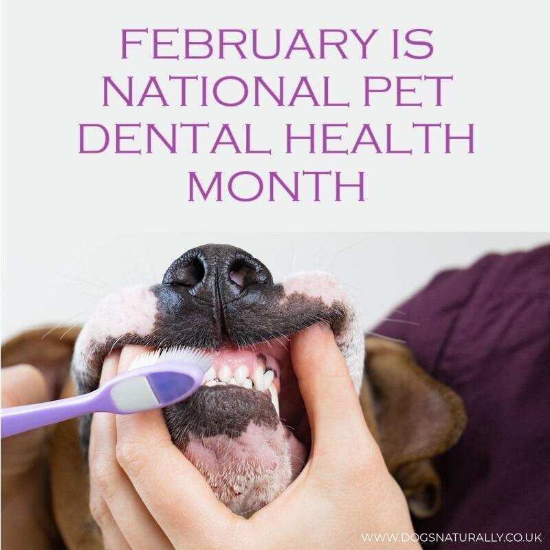 Dental Health