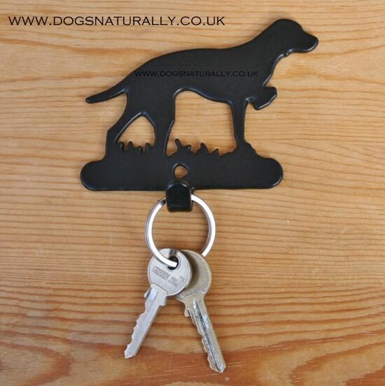 Dog Lover Gift - Single Hook Hanger - Vizsla