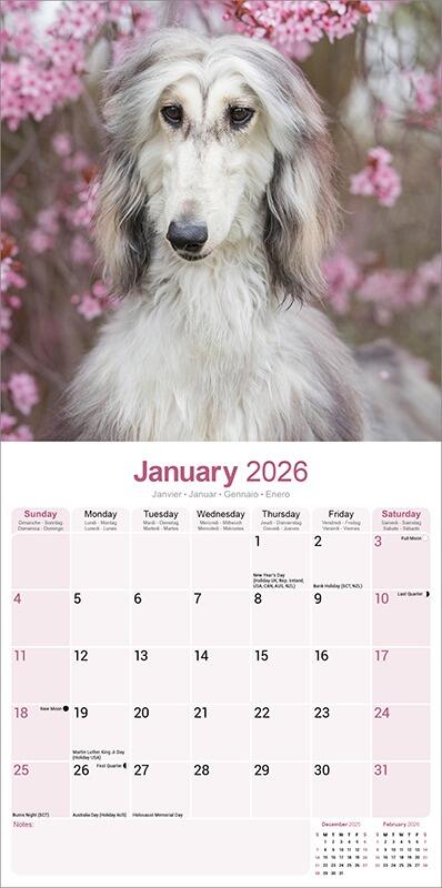 Afghan Hound Dog Lover Calendar