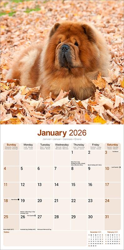 Chow Chow Calendar 2026 Inside