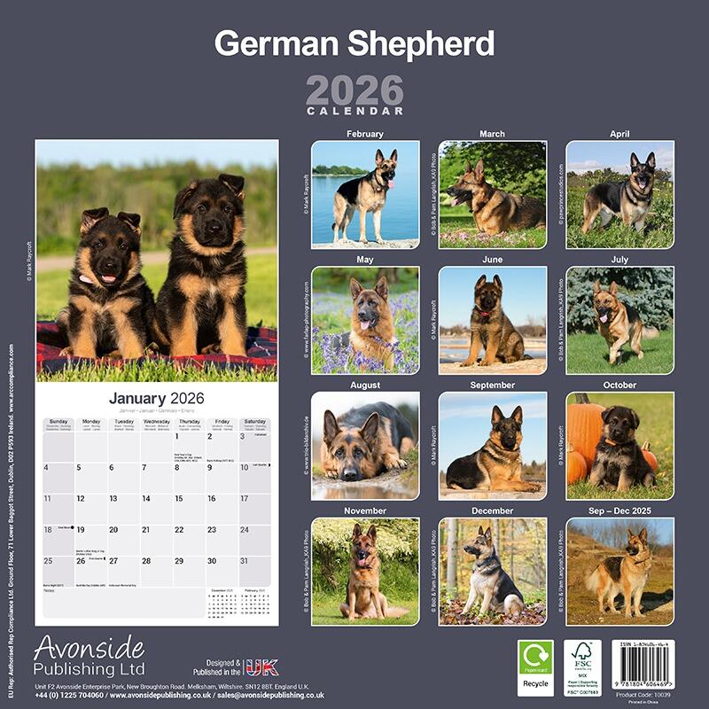 german-shepherd-calendar-2026