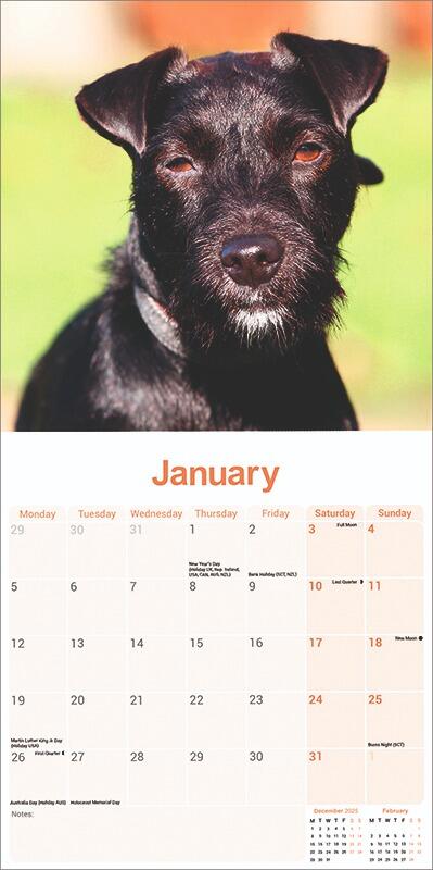 Patterdale Terrier Calendar 2026 Planner