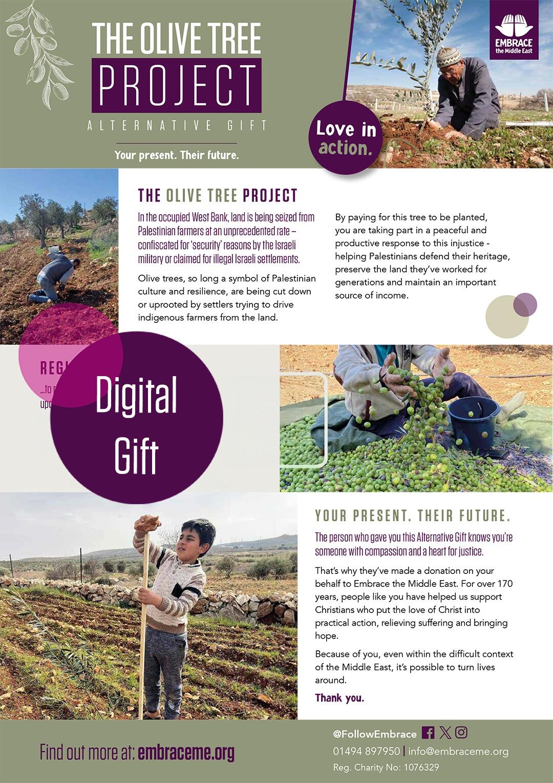 Embrace the Middle East - Olive Tree Project - Digital Gift - internals