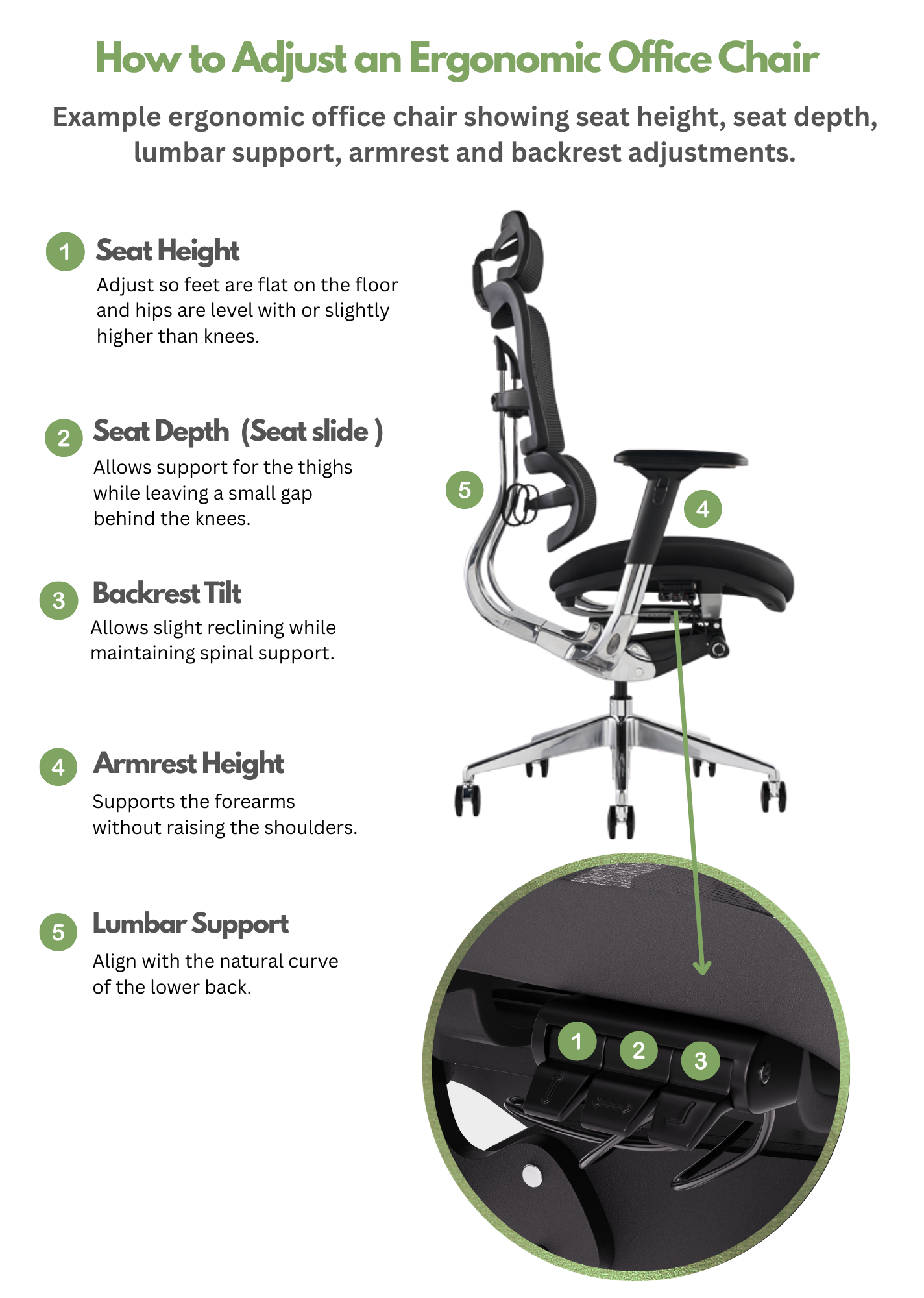 How to Adjust an Office Chair Correctly | Ergonomic Guide