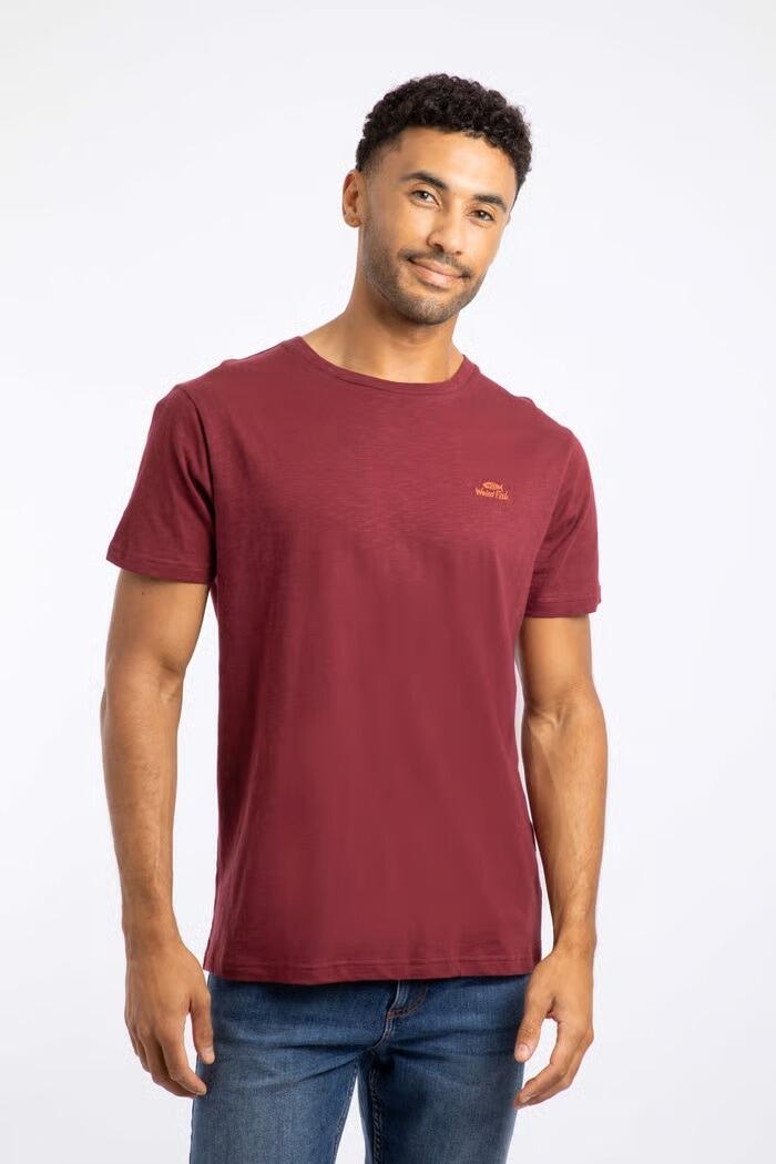 Men’s Antcherry Fished Organic Branded Tee by Weird Fish, soft-touch and eco-friendly, sizes 2XL–5XL