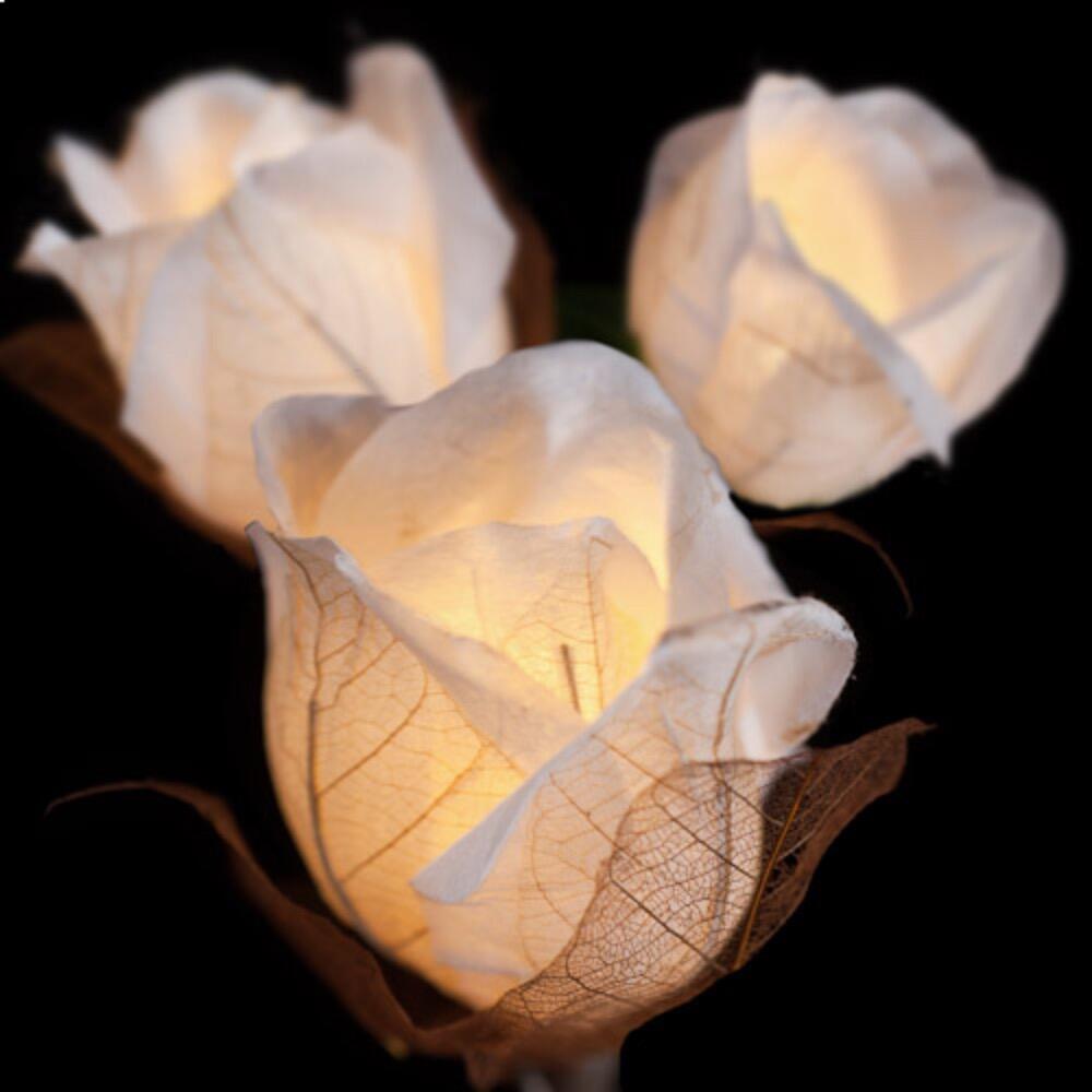 Chelsea Rose Fairy Lights in Crisp White – Handcrafted Thai Saa Paper Rosebuds