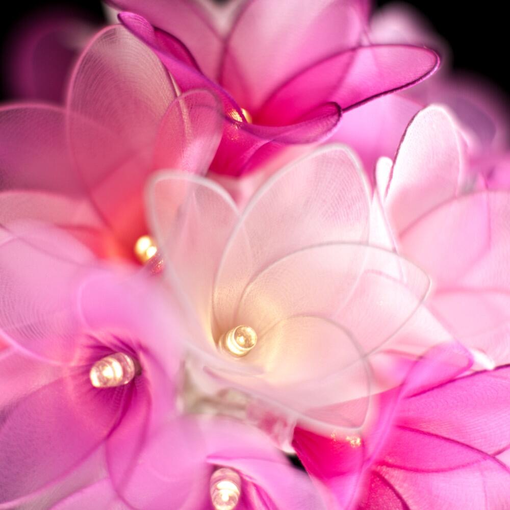 Daisy Fairy Lights in Soft Pinks – Handcrafted Translucent Fabric Flowers