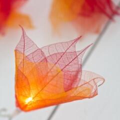 Natural Leaf Fairy Lights in Fire Tones – Handcrafted Thai Rubber Tree Leaf Flowers