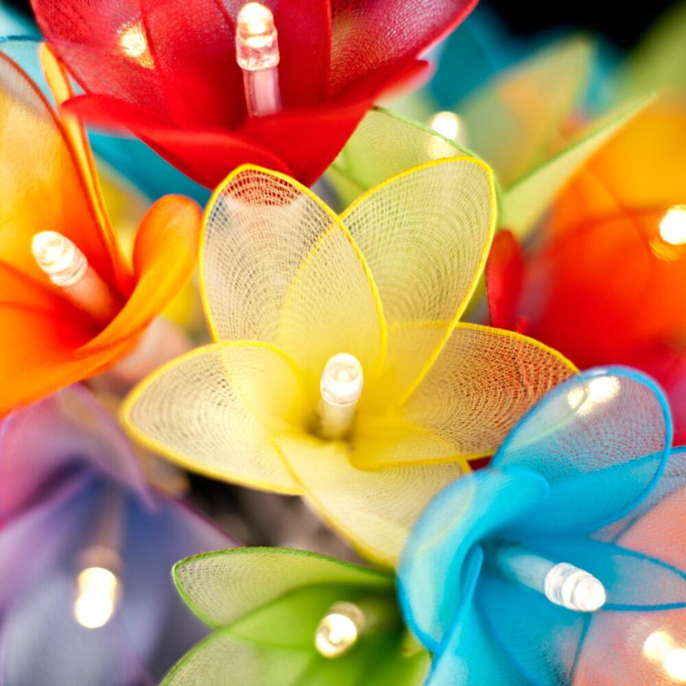 Daisy Fairy Lights in Rainbow Colours – Handcrafted Translucent Fabric Flowers