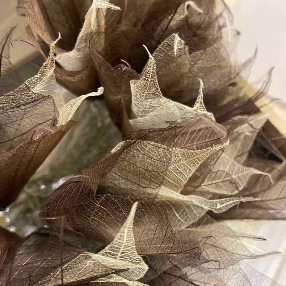 Natural Leaf Fairy Lights in Warm Brown Tones – Handcrafted Thai Rubber Tree Leaf Flowers