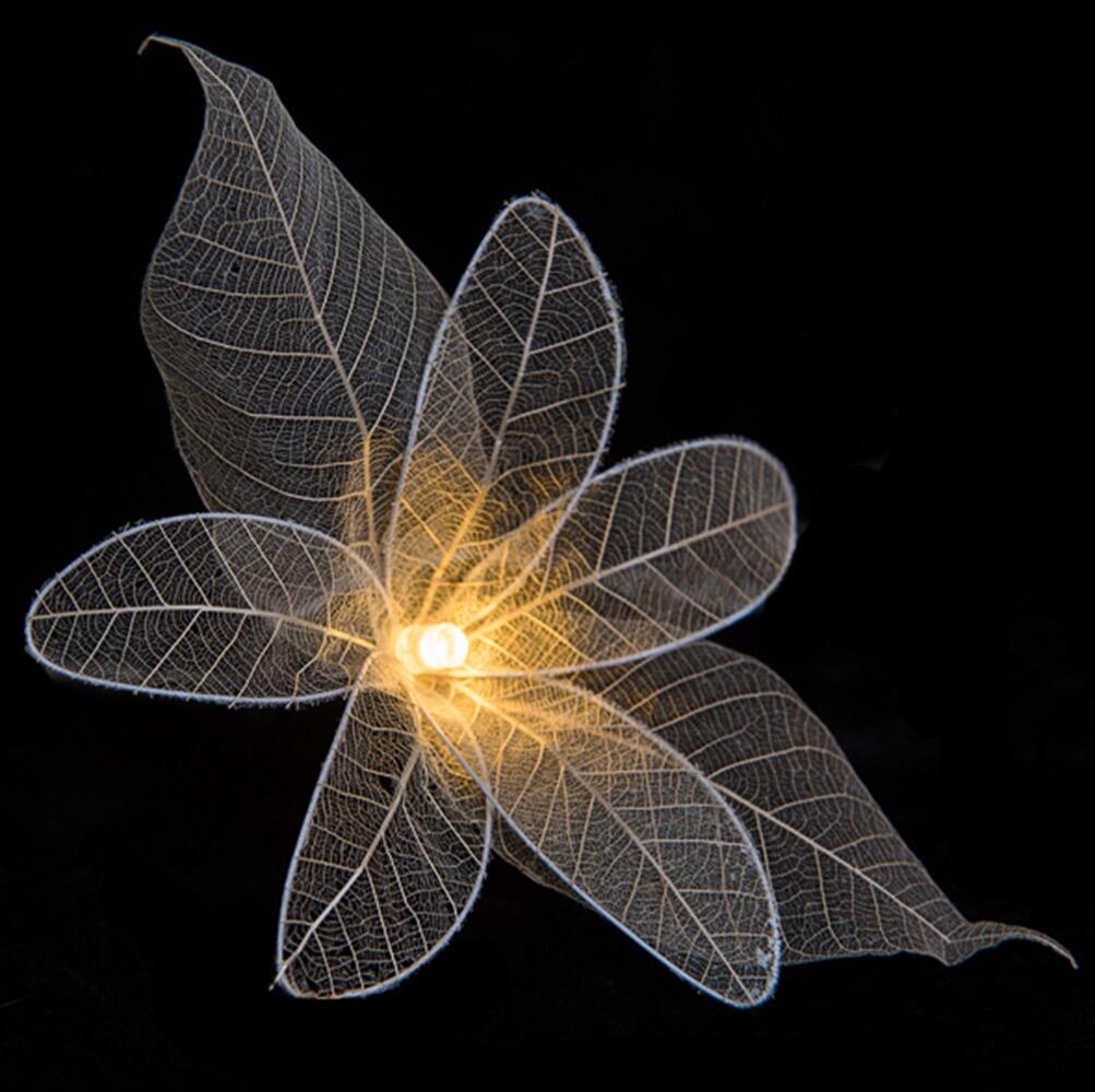 Fascinator Lily Fairy Lights in Their Natural Undyed Colour – Handcrafted Thai Rubber Tree Leaf Flowers