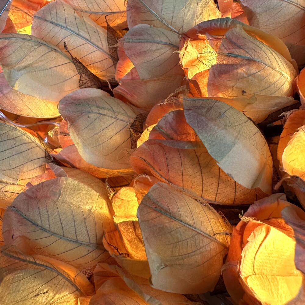 Chelsea Rose Fairy Lights in Soft Glowing Peach – Handcrafted Thai Saa Paper Rosebuds