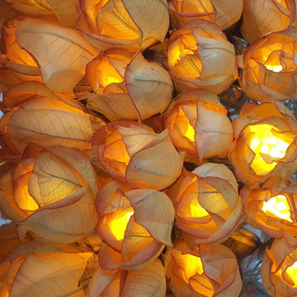 Chelsea Rose Fairy Lights in Soft Glowing Peach – Handcrafted Thai Saa Paper Rosebuds