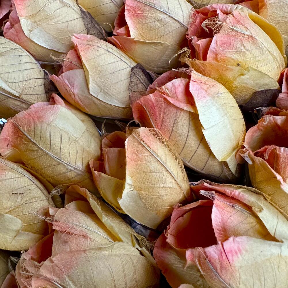 Chelsea Rose Fairy Lights in Soft Glowing Peach – Handcrafted Thai Saa Paper Rosebuds