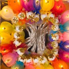 Princess Fairies 20 Lights Rainbow
