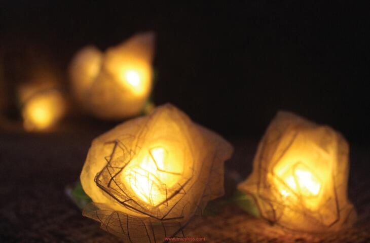 Handcrafted Cream Cabbage Rose Fairy Lights with 30 Warm White LED Lights by Blaze On