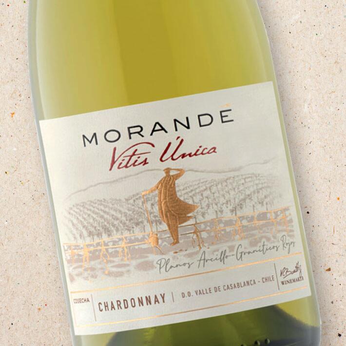 Morandé Vitis Unica Chardonnay (case of 6) | Morande Vitis Unica Chardonnay
