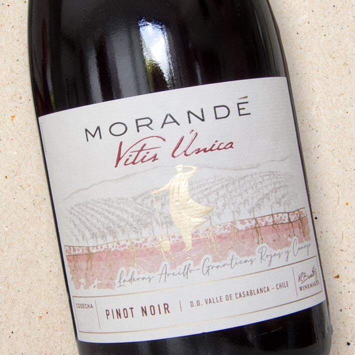Morandé Vitis Unica Pinot Noir (case of 6) | Morande Vitis Unica Pinot