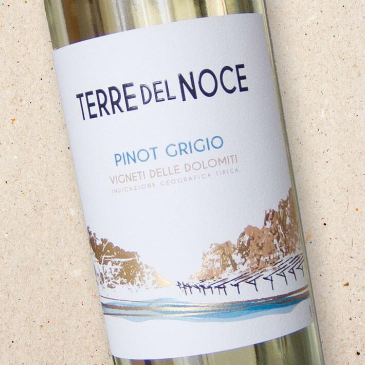 Mezzacorona Terre del Noce Pinot Grigio delle Dolomiti 2025