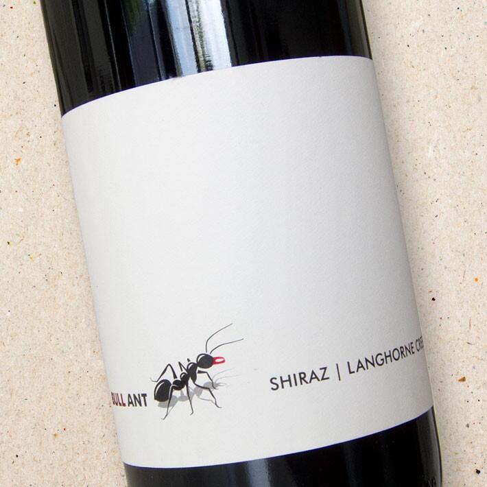 Lake Breeze Bull Ant Shiraz (case of 6)