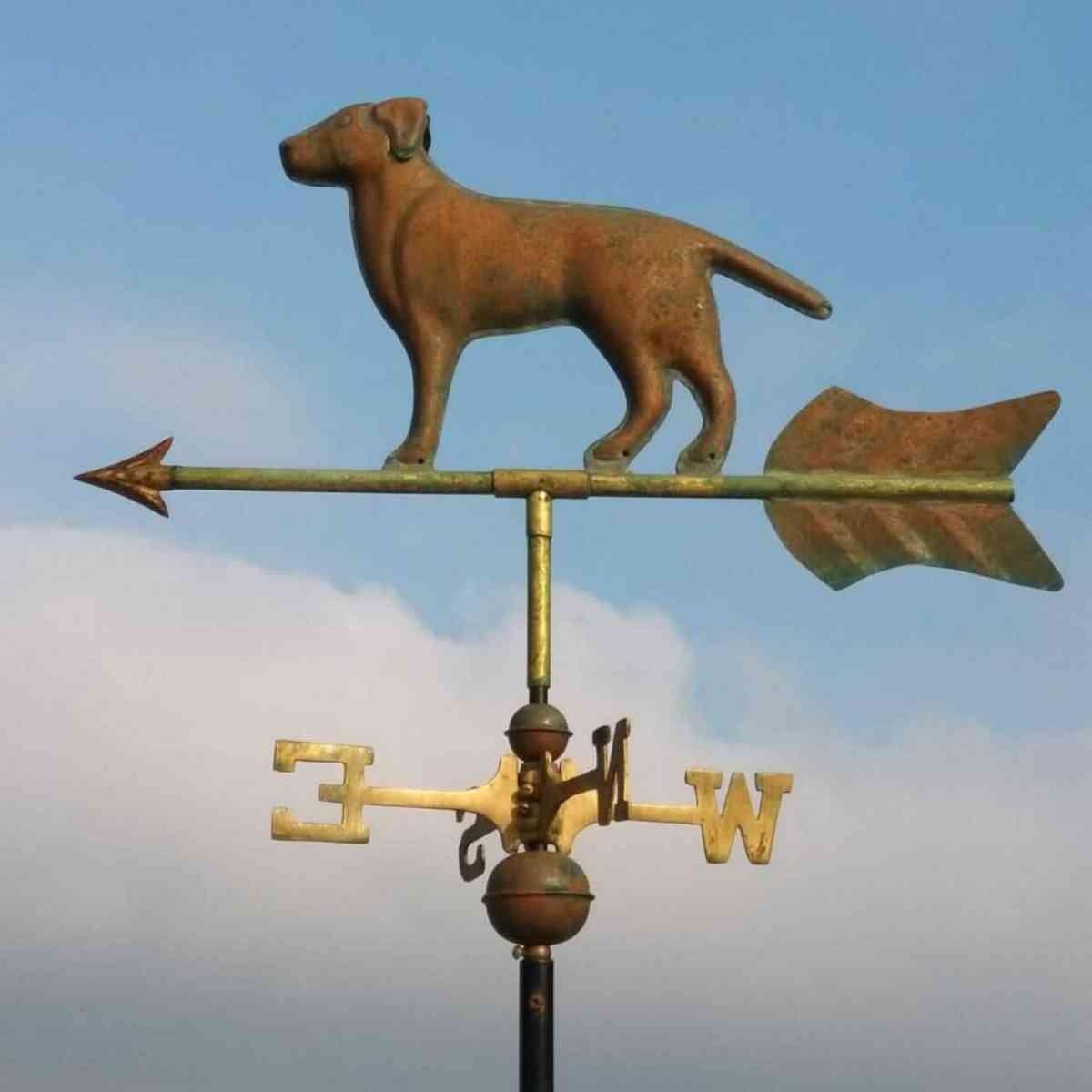 Medium aged copper labrador weathervane