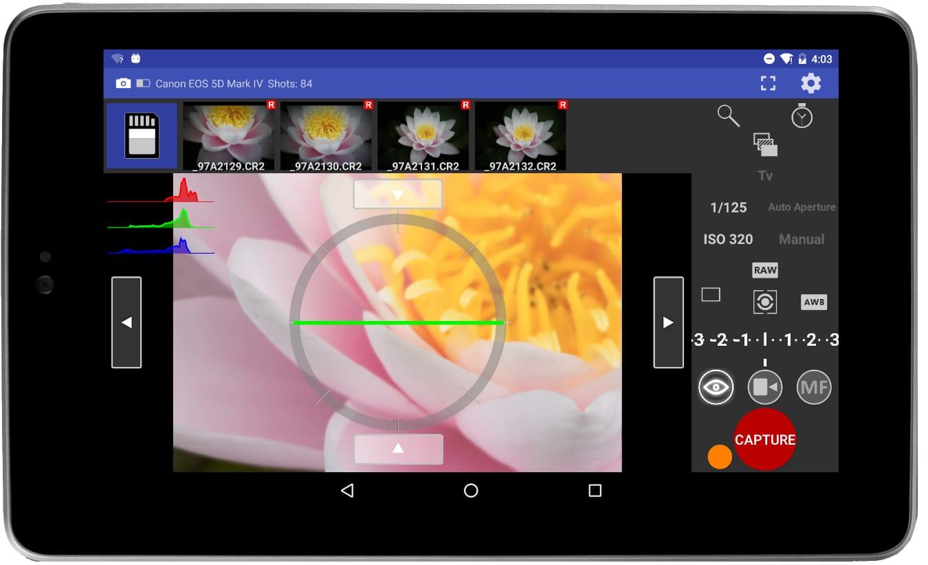 liveviewflower.jpg