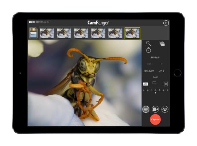 ipad-hornet-landscape.jpg